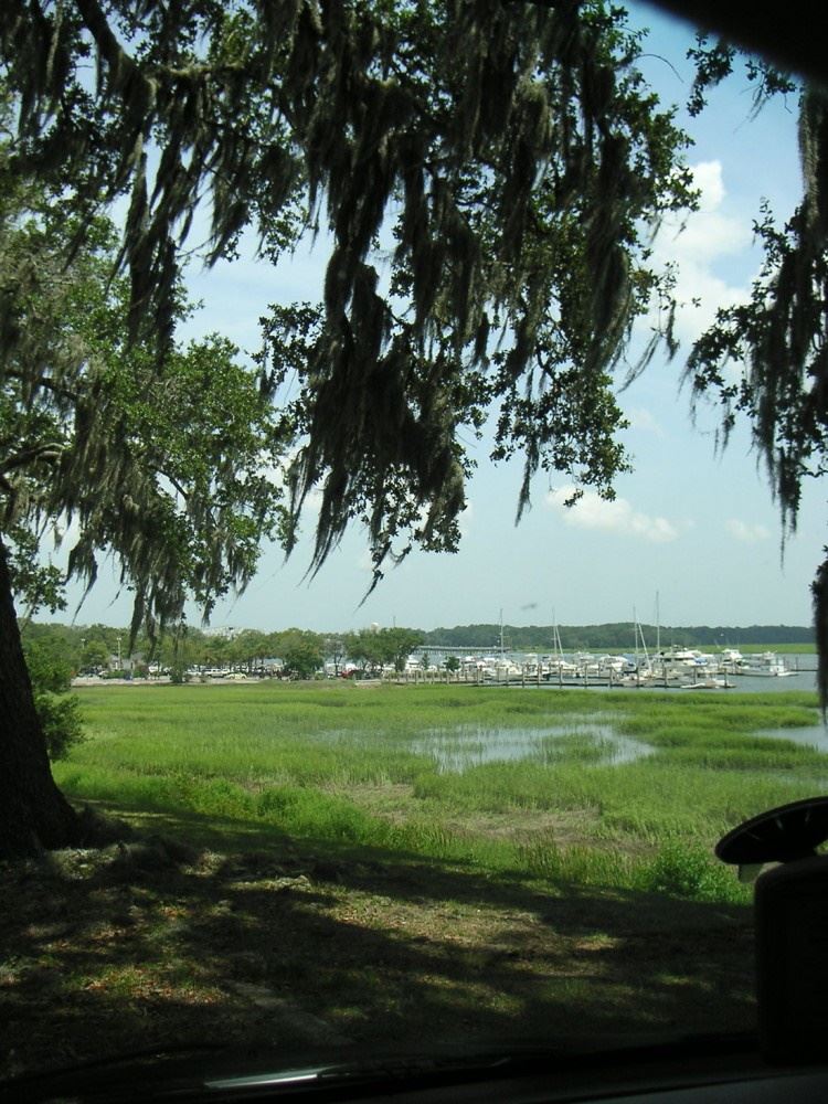 pict0026_750_1000_90_s