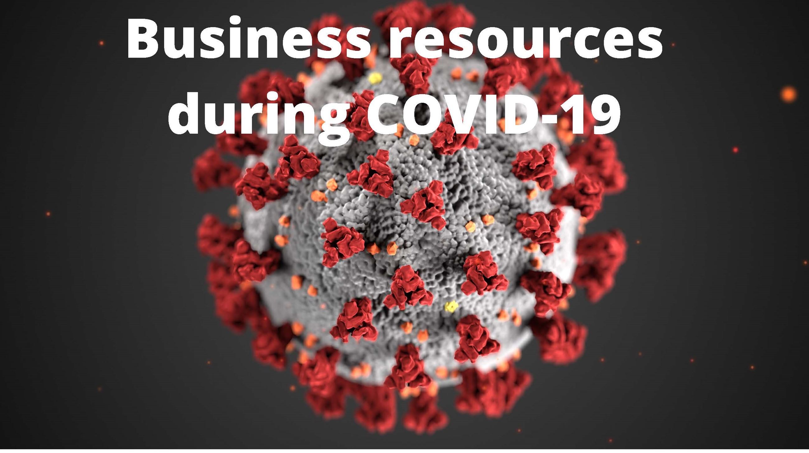 Business resources during COVID-19