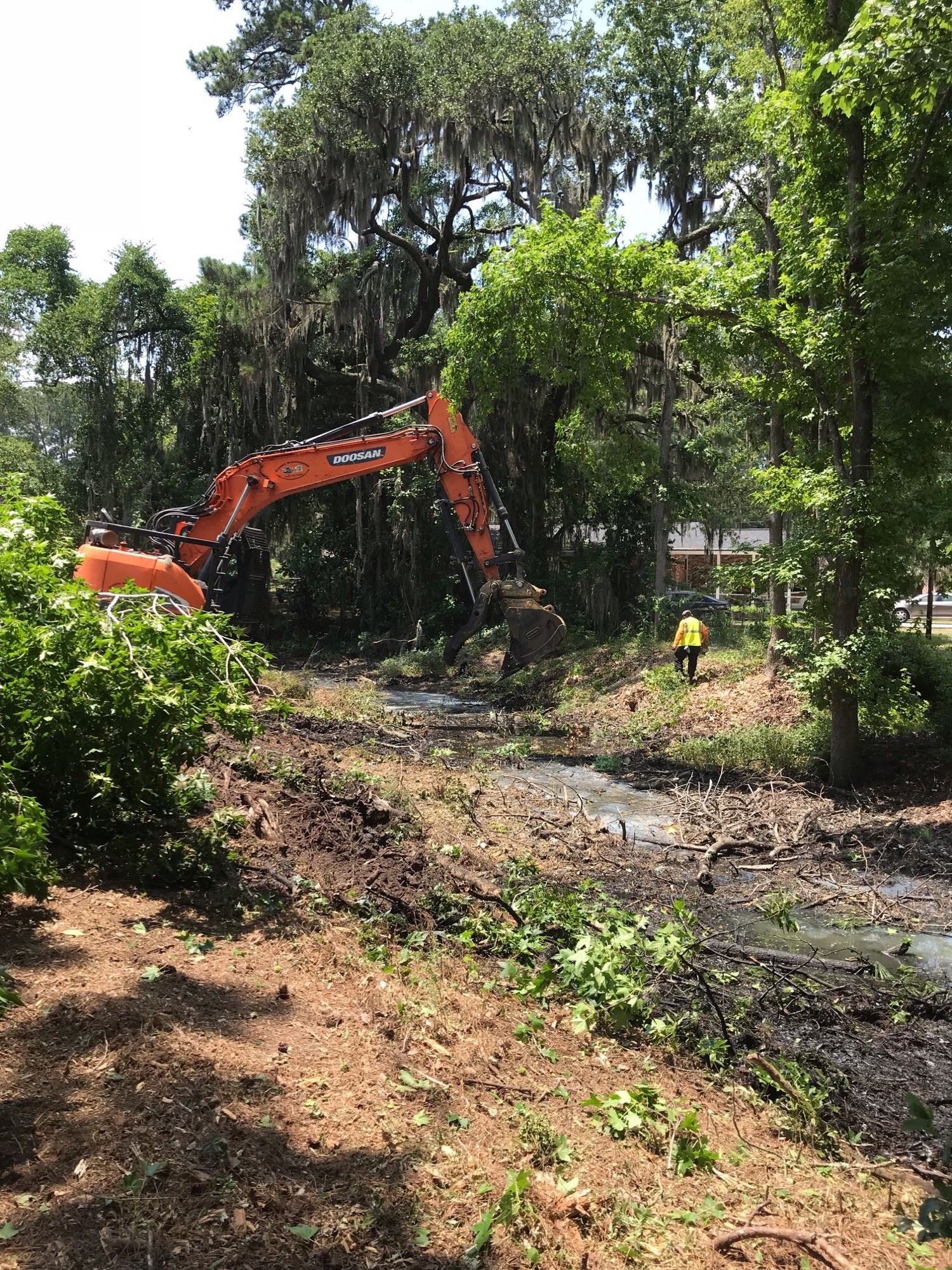 Mossy Oaks Jane Way work