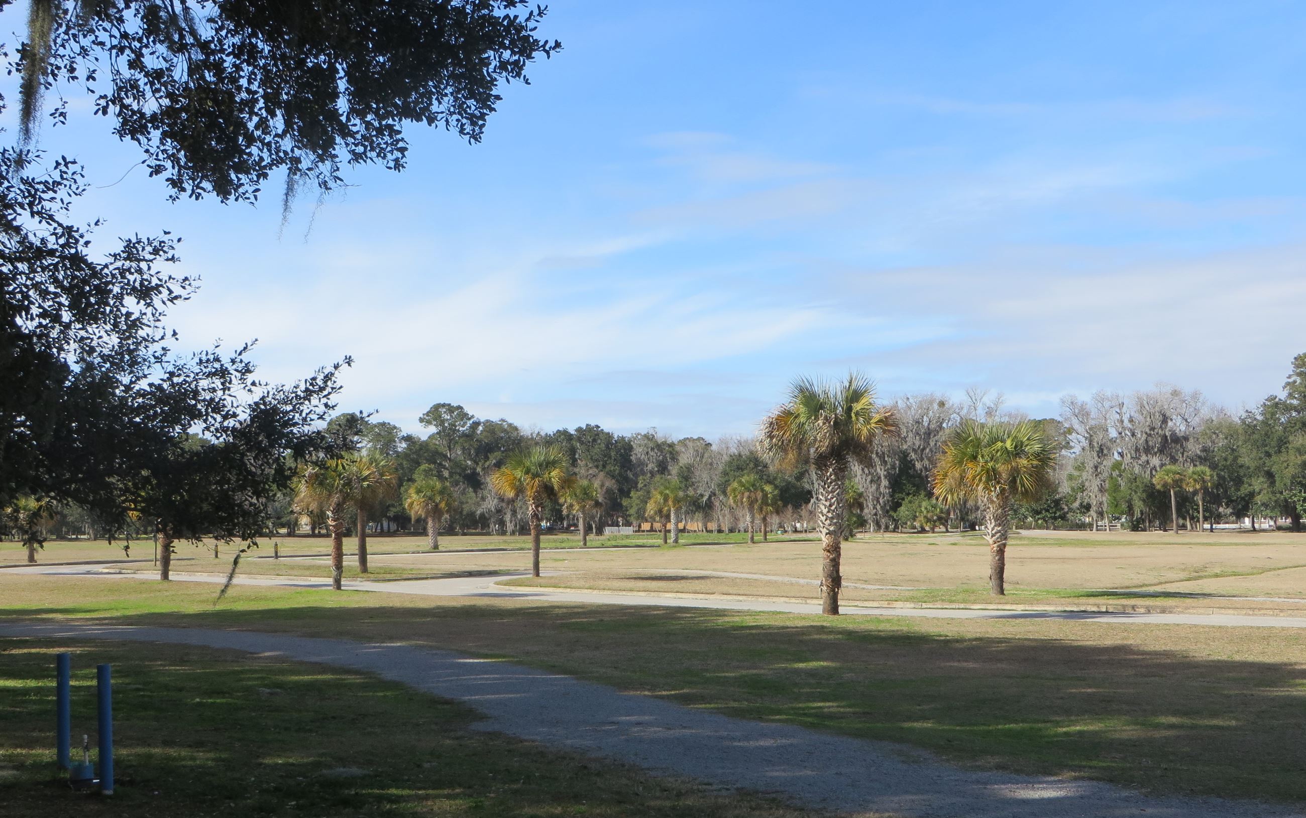 Southside Park palms and field